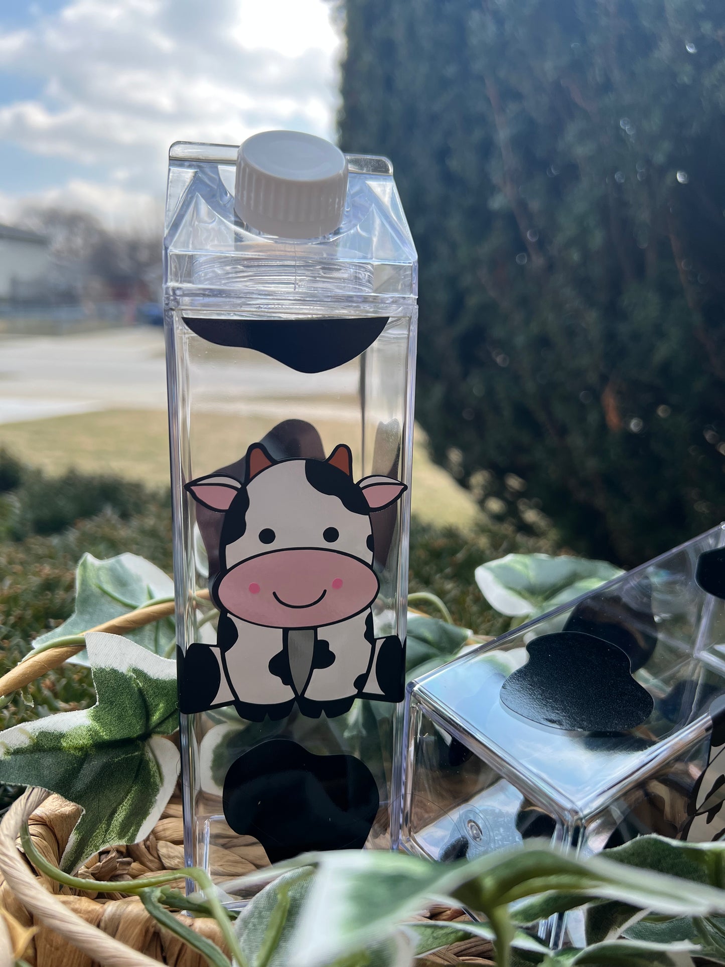 Cow Milk Cartoon Bottle Water