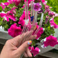 Flowers Glass Straw