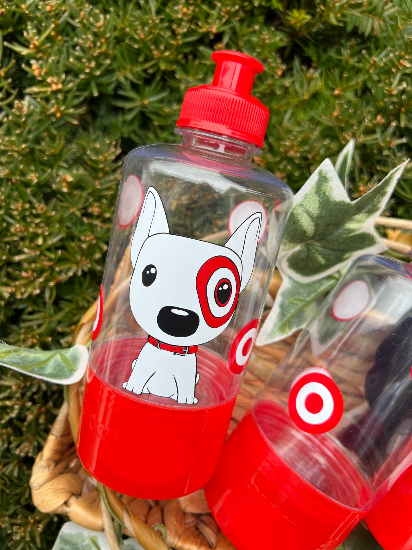 Dog Kids Bottle