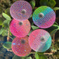 Rhinestones Lid