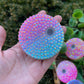 Rhinestones Lid